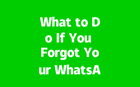 What to Do If You Forgot Your WhatsApp PIN 2025? 2 2cff359eff66e4cb04309b214807ec21