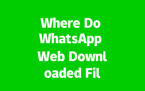 Where Do WhatsApp Web Downloaded Files Go in 2025? 2 38a4837cfb50c72a8a3968e5f6de14cf
