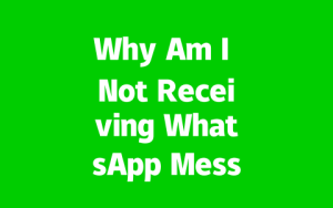 66bed3df03a3981ca77d349bde88e278