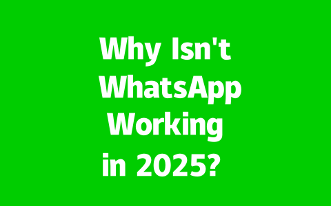 Why Isn't WhatsApp Working in 2025? Common Causes & Quick Fixes to Try 2 7716d0480ee0b0a56f96356e0647969c