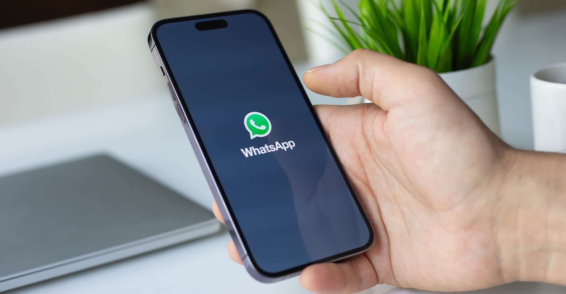 api img 6958a9e651ee7