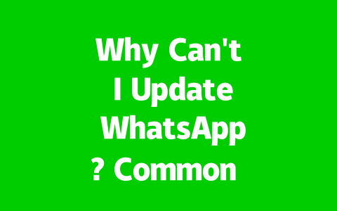 Why Can’t I Update WhatsApp? Common Issues & Fixes 2025